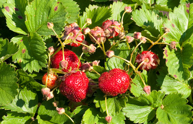 Similar image 145682