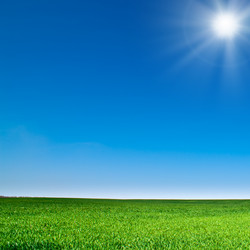 Similar image 145688