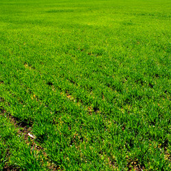 Similar image 145692