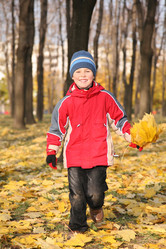 Similar image 145693