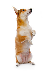 Similar image 145694