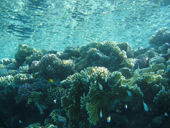 Similar image 145705