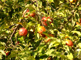 Similar image 145727