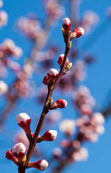 Similar image 145733