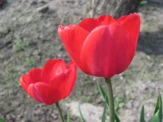 Similar image 145740