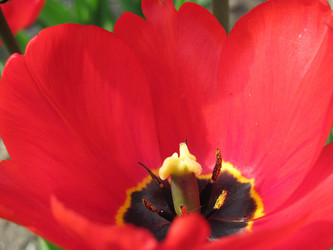 Similar image 145741