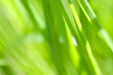 Similar image 145751