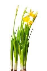 Similar image 145753