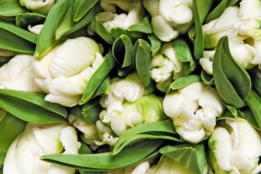 Similar image 145755