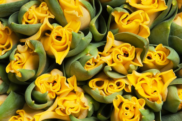 Similar image 145759