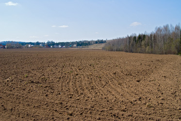 Similar image 145761