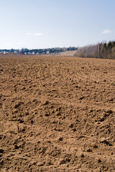 Similar image 145763