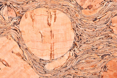 Similar image 145765