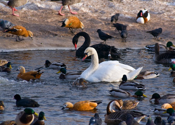 Similar image 145806