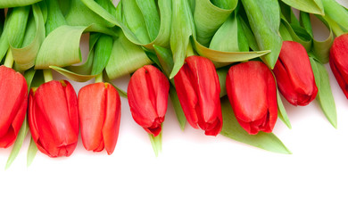 Similar image 145829