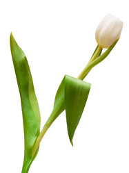 Similar image 145830