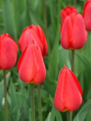 Similar image 145832