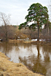 Similar image 145854