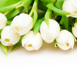 Similar image 145902