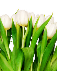 Similar image 145905