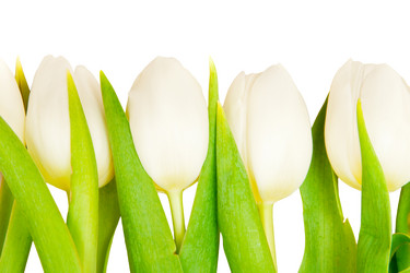 Similar image 145906