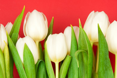 Similar image 145908