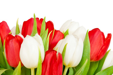 Similar image 145909