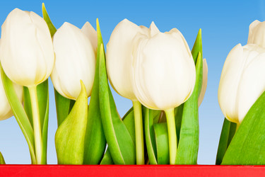 Similar image 145910