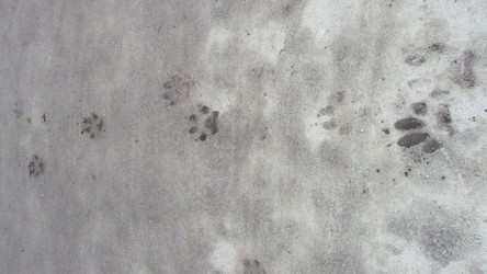 Similar image 145923