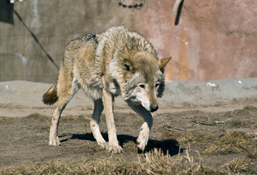 Similar image 145932