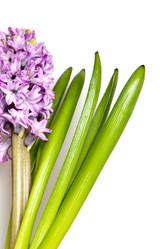 Similar image 145936