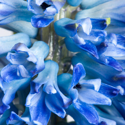 Similar image 145938