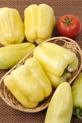 Similar image 146029