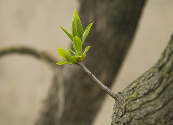 Similar image 146102