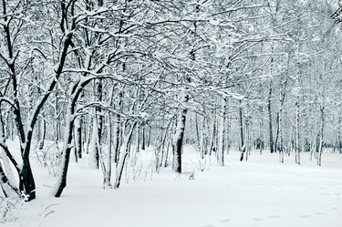 Similar image 146105