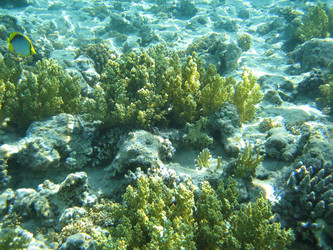 Similar image 146146