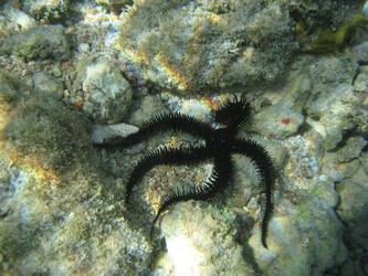 Similar image 146147