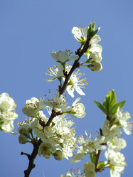 Similar image 146149