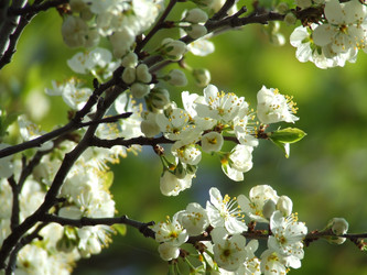 Similar image 146150