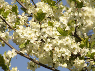 Similar image 146151