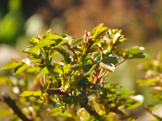 Similar image 146152