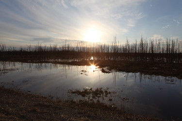 Similar image 146252