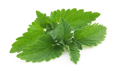 Similar image 146254