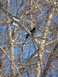 Similar image 146266