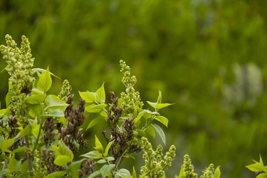 Similar image 146275