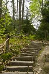 Similar image 146286