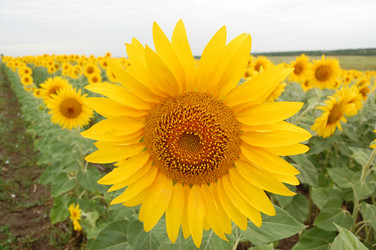 Similar image 146294