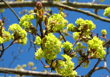 Similar image 146296