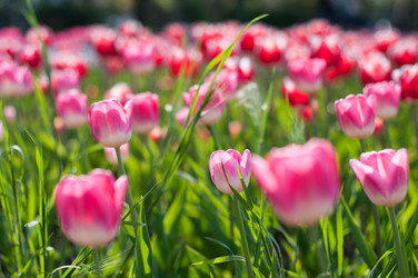 Similar image 146301