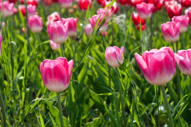 Similar image 146302